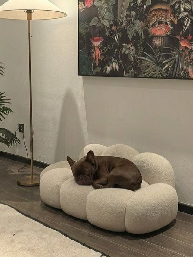 PET Nube